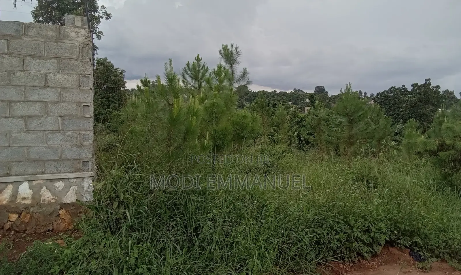 Plot in Kiwenda 50*100 Titled