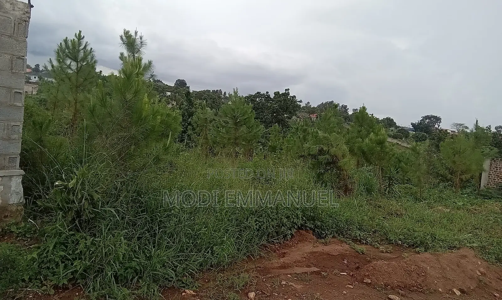 Plot in Kiwenda 50*100 Titled