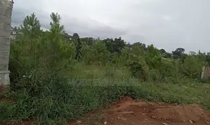 Plot in Kiwenda 50*100 Titled