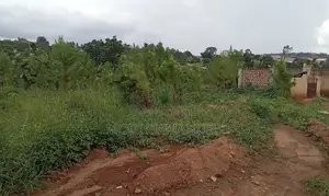 Plot in Kiwenda 50*100 Titled