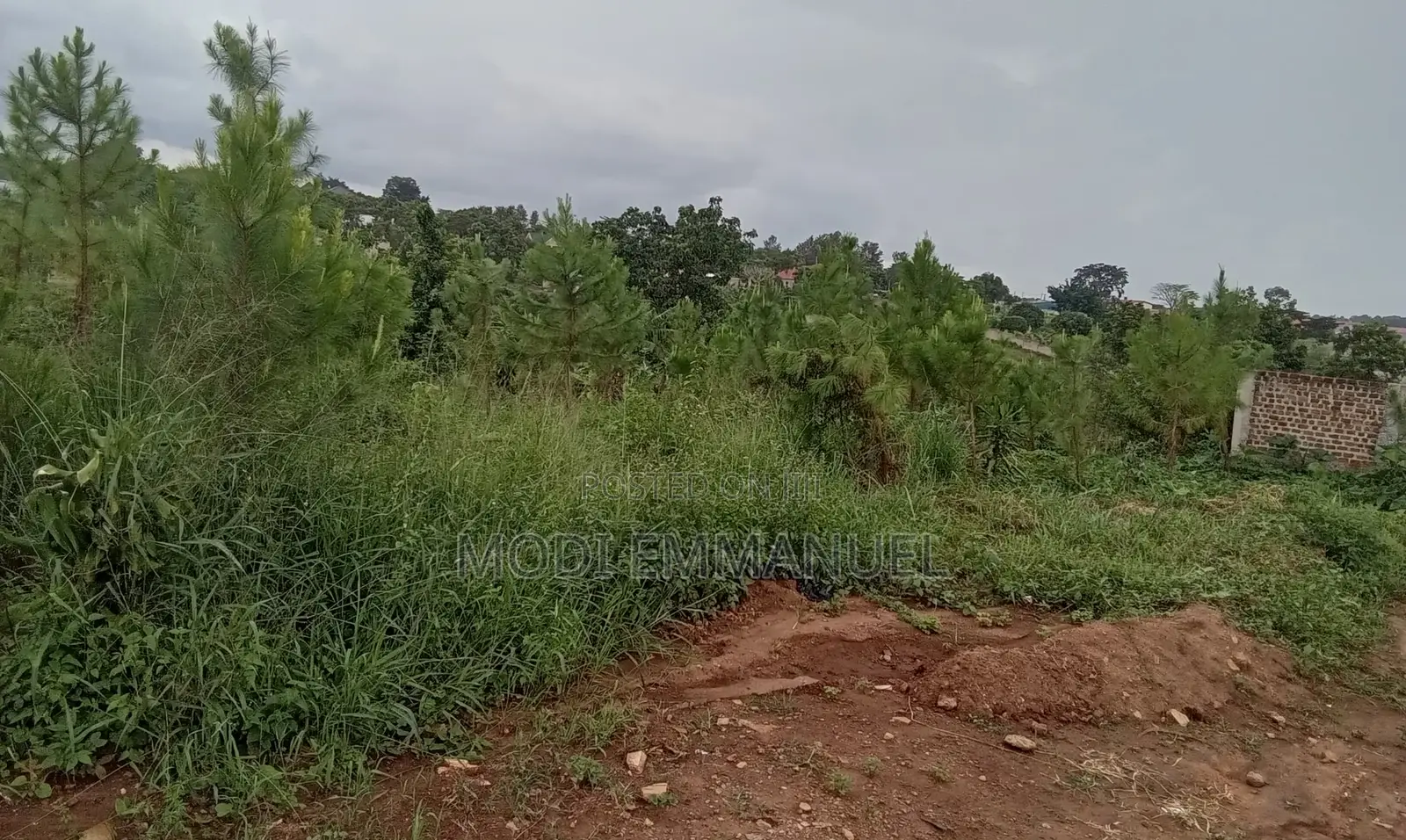 Plot in Kiwenda 50*100 Titled