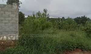 Plot in Kiwenda- Kisoga