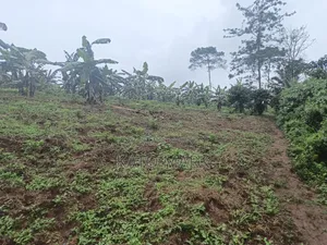 3 Acres for Sale Located at Nkokonjeru