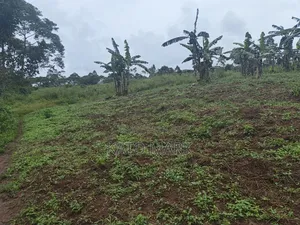 3 Acres for Sale Located at Nkokonjeru