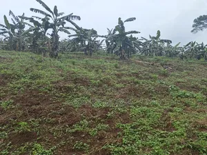 3 Acres for Sale Located at Nkokonjeru