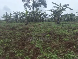 3 Acres for Sale Located at Nkokonjeru