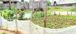 Entebbe Good for Rental 30*50