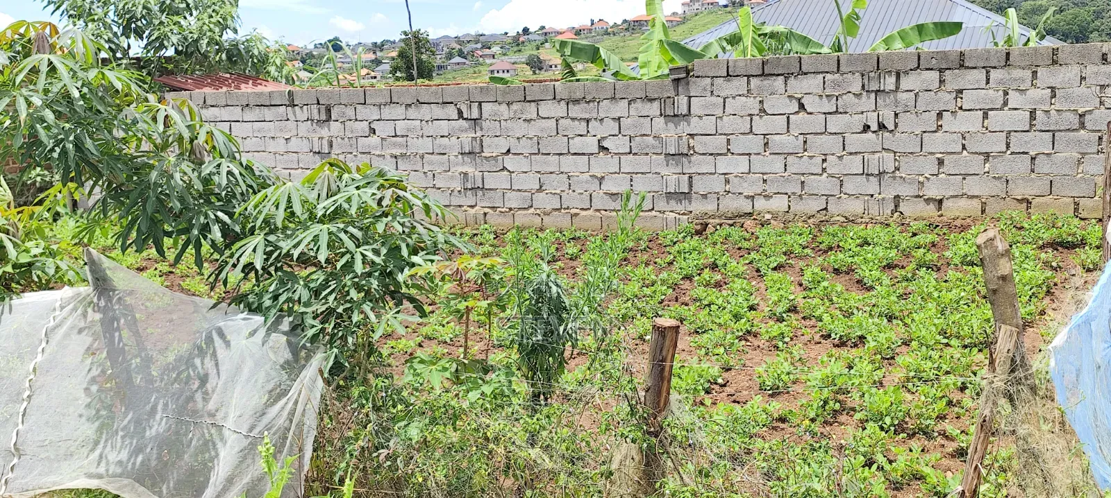 Entebbe Good for Rental 30*50