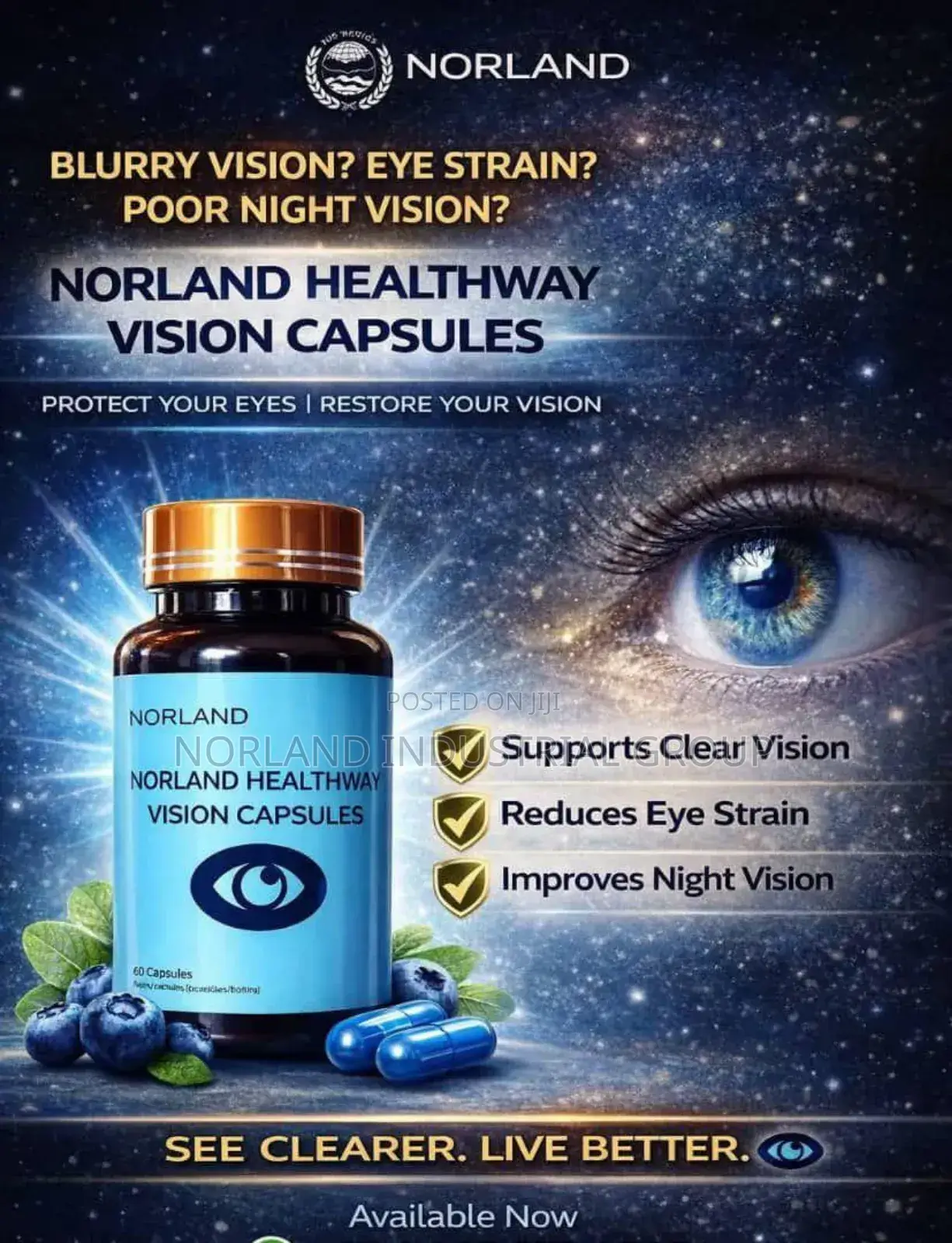 Vision Vitale