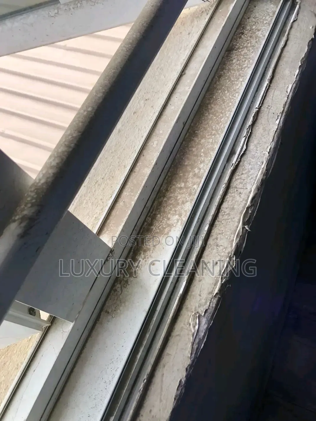 Detailed House Cleaning in Salaama