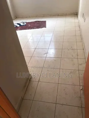 Move in Cleaning Services