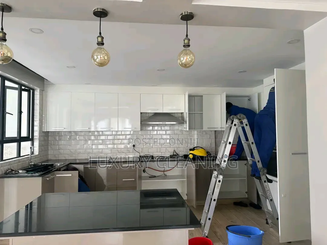 Kitchen Appliances Deep Cleaning