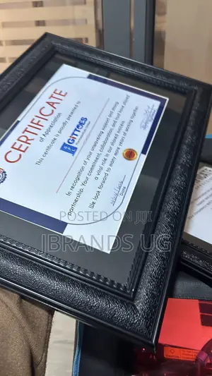 Canvas & Wall Frames