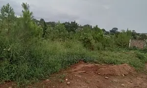 Plot in Kiwenda- Kisoga