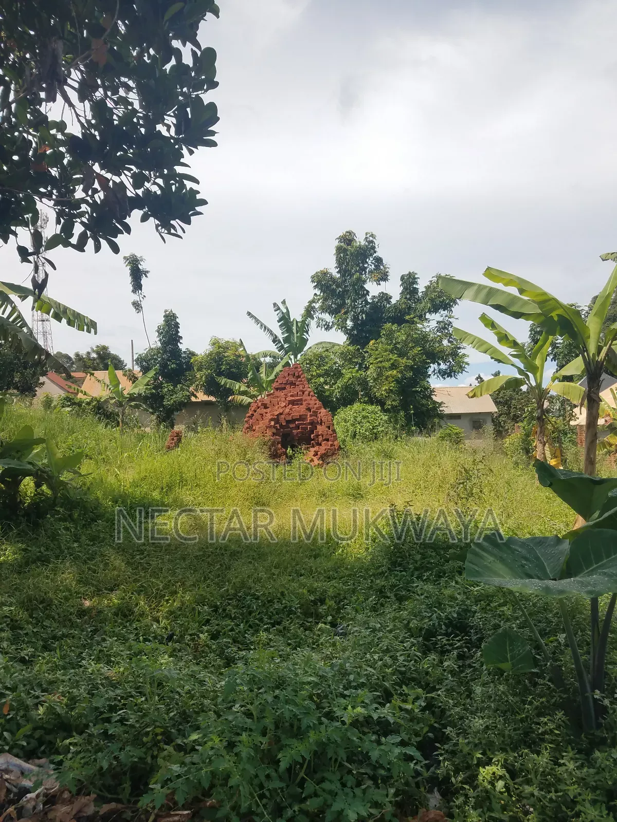 Half Accre Near Ucu