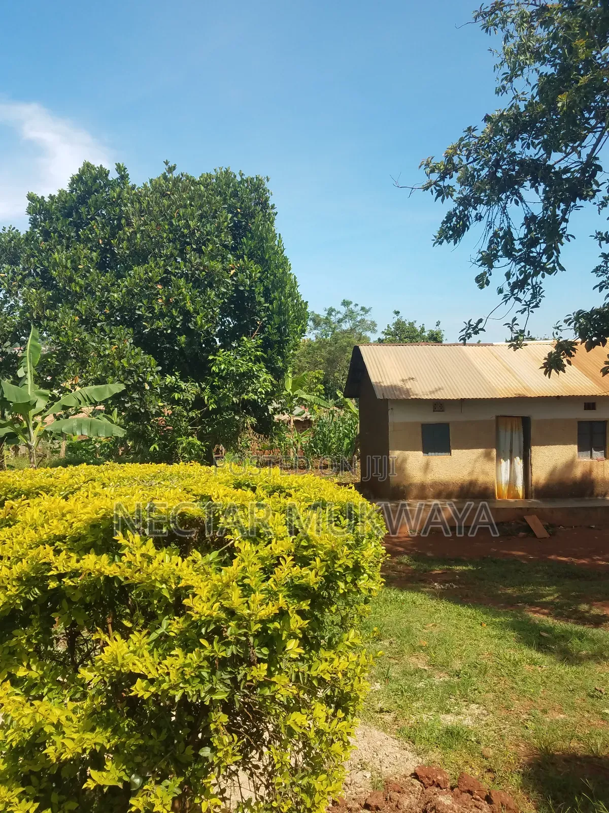 Half Accre Near Ucu