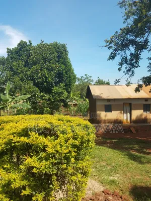 Half Accre Near Ucu