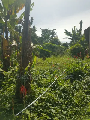 Half Accre Near Ucu