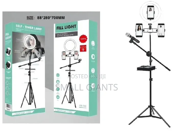 Ringlight With Stand And Microphone Stand Set Up