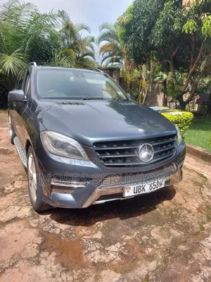 Mercedes-Benz M Class 2014 Black