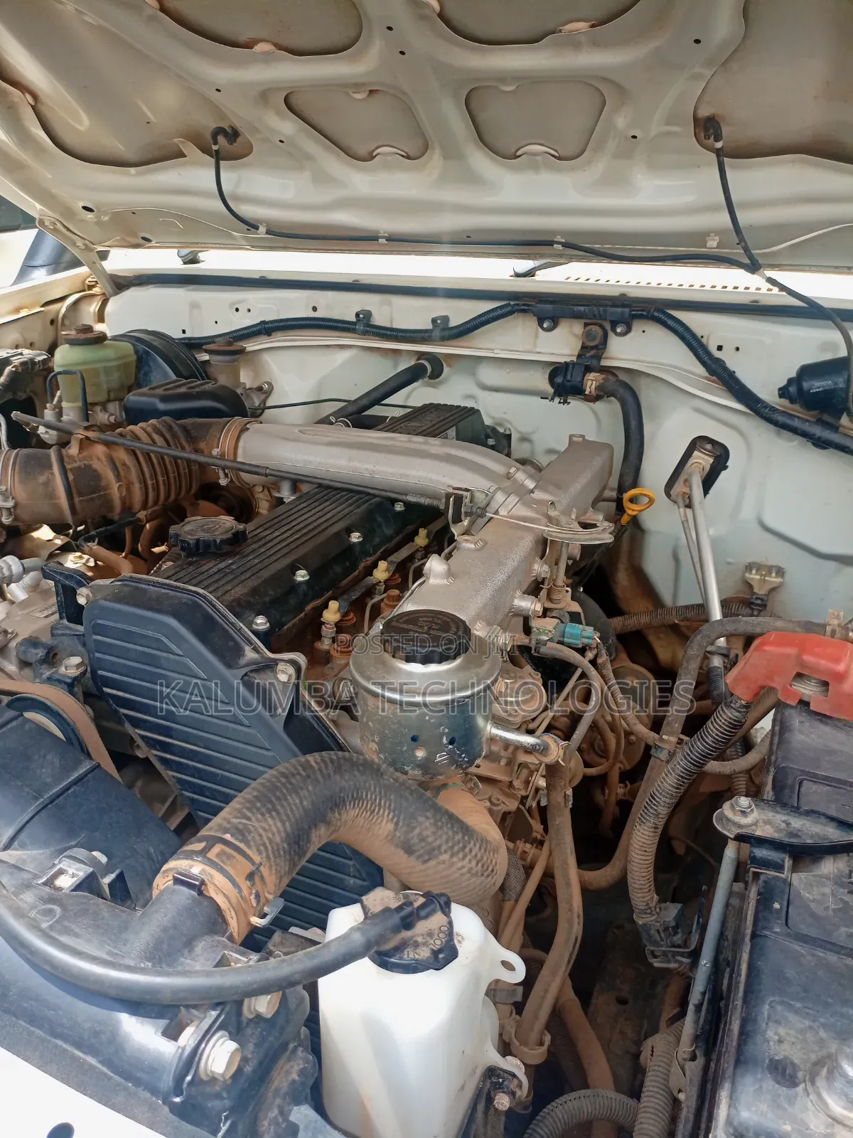 Injector And Nozzle Service