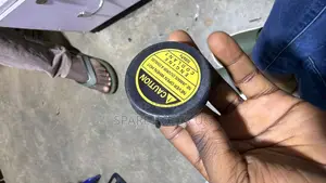 Rav4 Reserve Tank Cover
