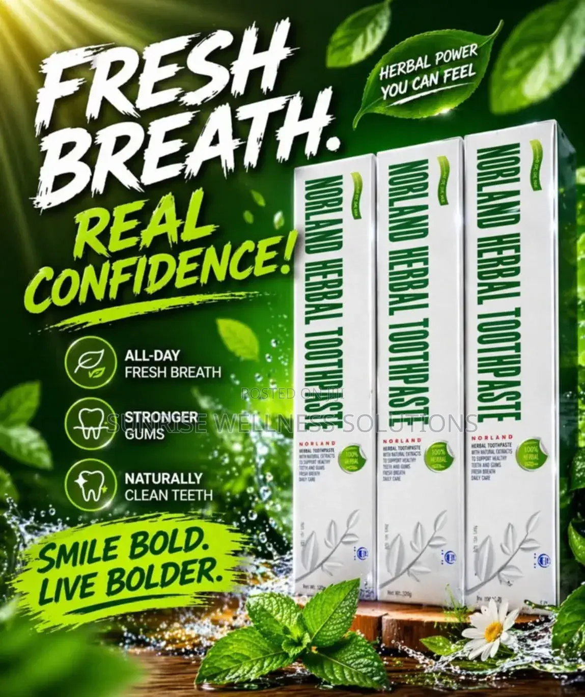 Norland Herbal Toothpaste