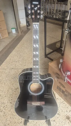 Acoustic Guitar