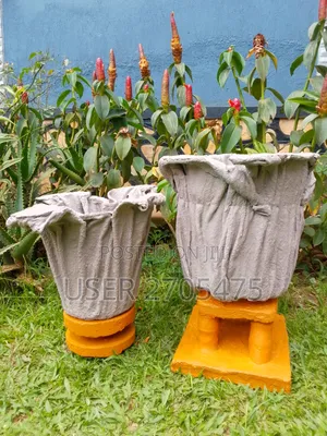 Salmon's Events And Backyard Ideas