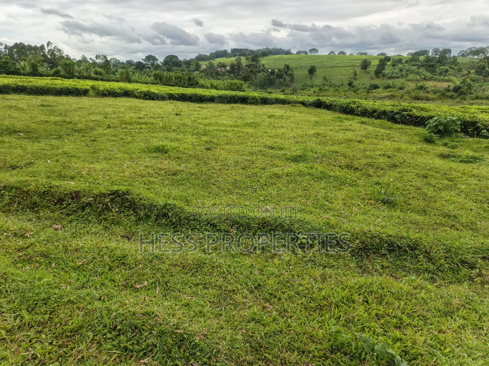 15acres of Titled Land on Sale