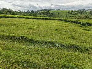 15acres of Titled Land on Sale