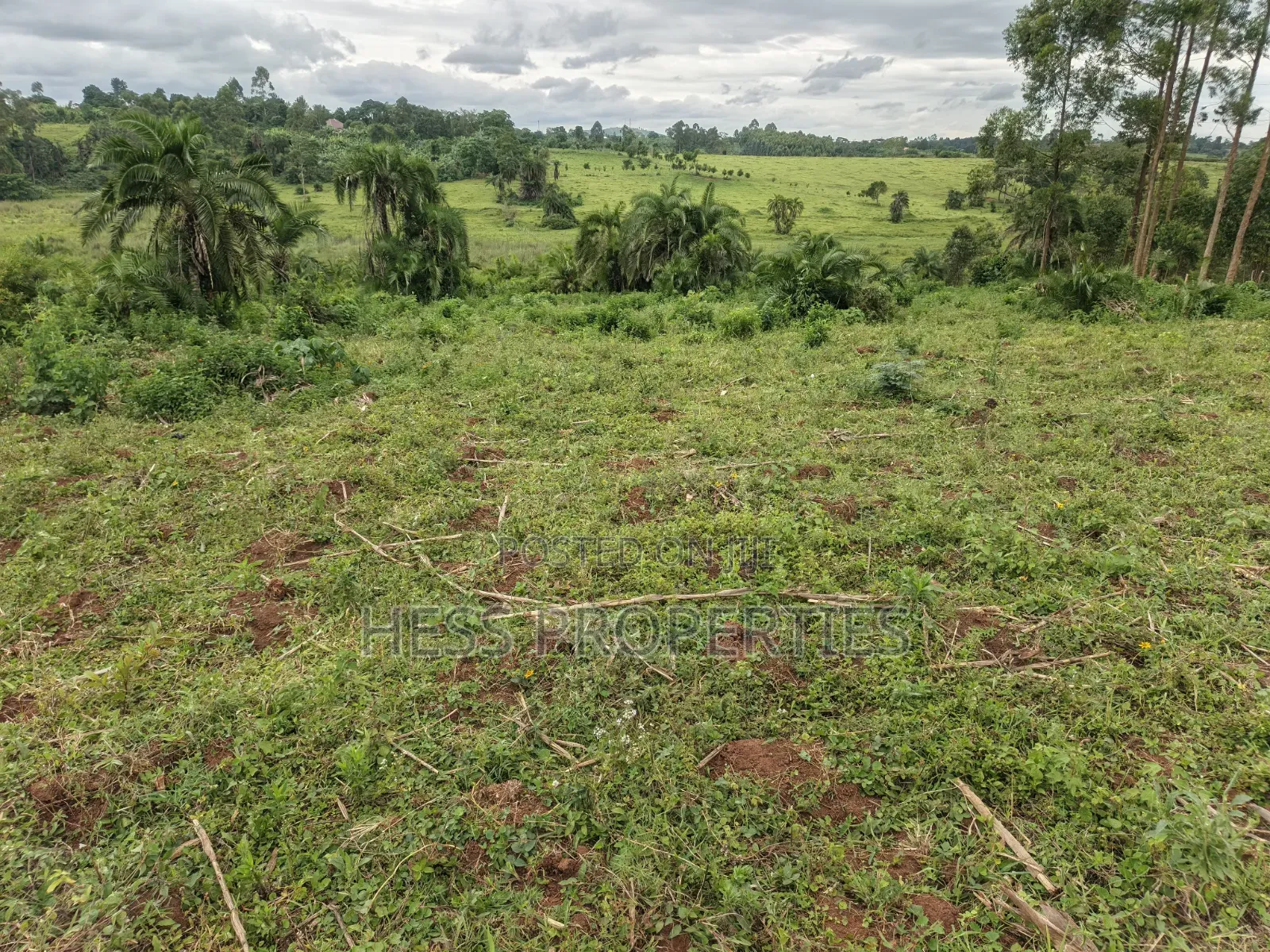 15acres of Titled Land on Sale