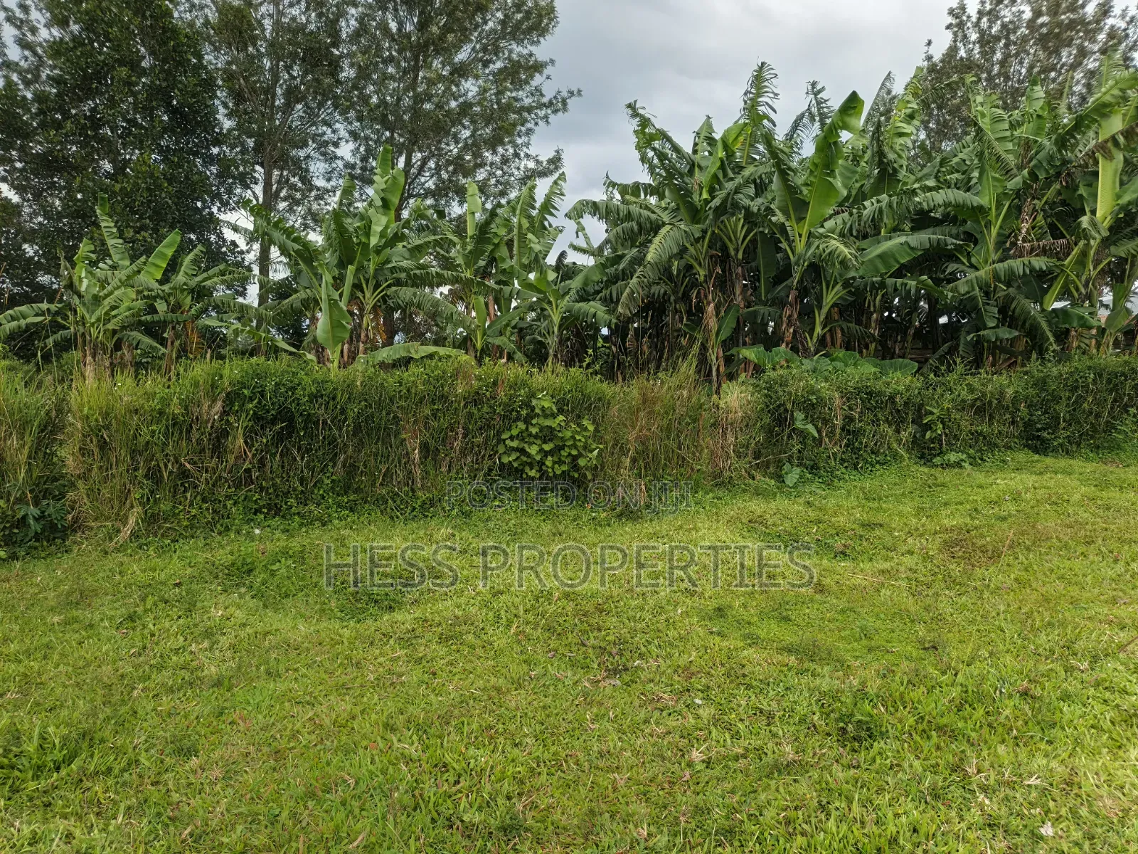 15acres of Titled Land on Sale