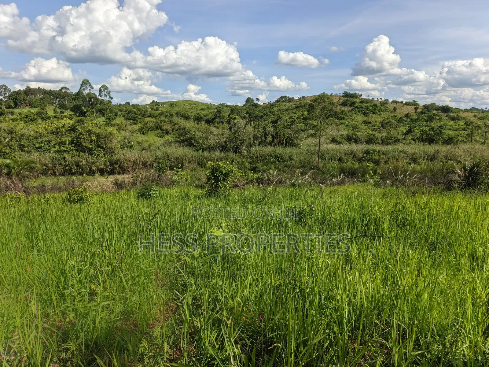 12acres of Land on Sale Located in Kyamulimi
