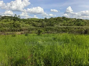 12acres of Land on Sale Located in Kyamulimi