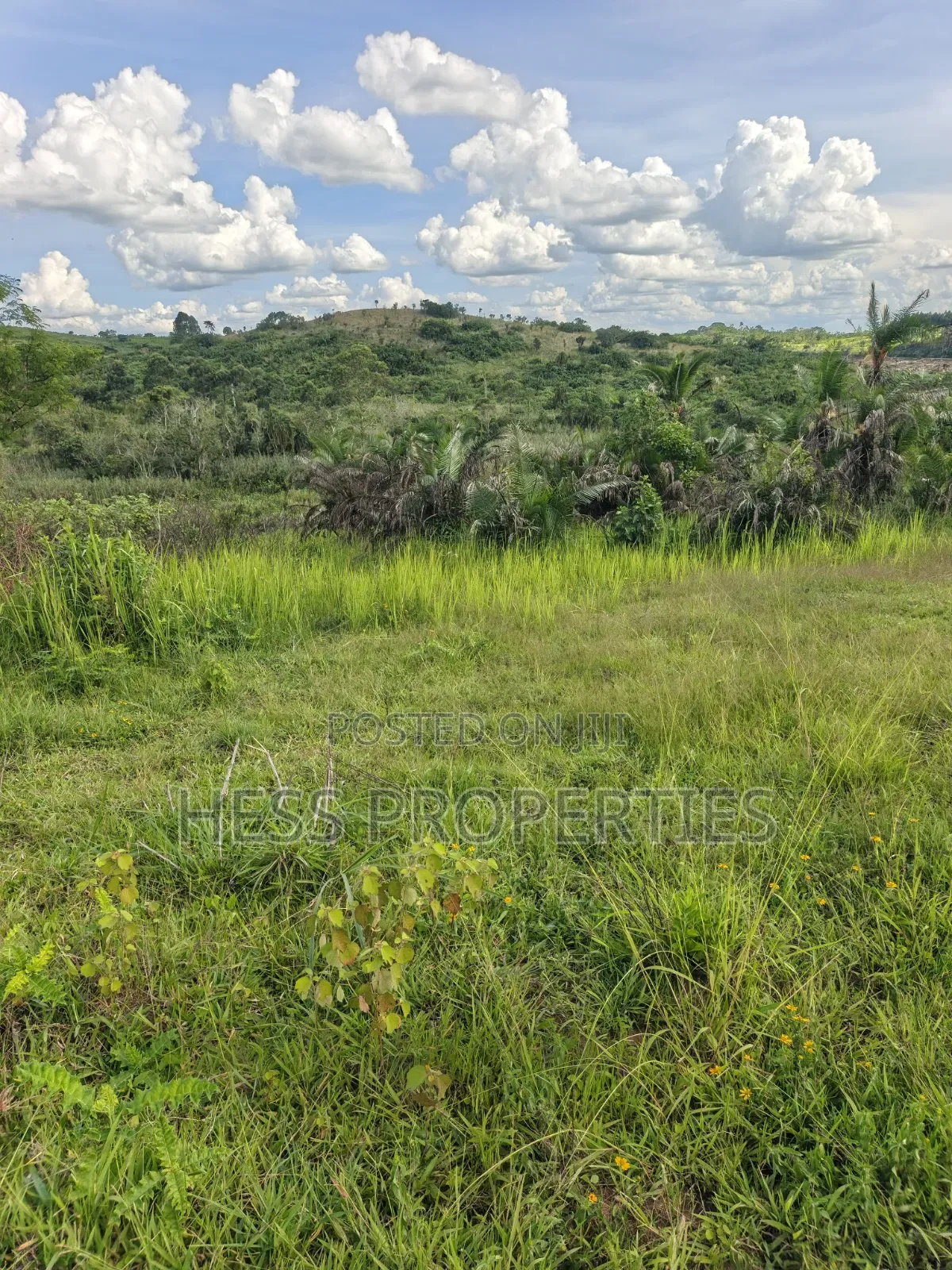 12acres of Land on Sale Located in Kyamulimi