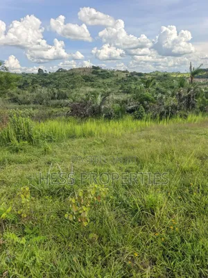 12acres of Land on Sale Located in Kyamulimi