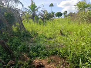 12acres of Land on Sale Located in Kyamulimi