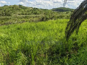 12acres of Land on Sale Located in Kyamulimi