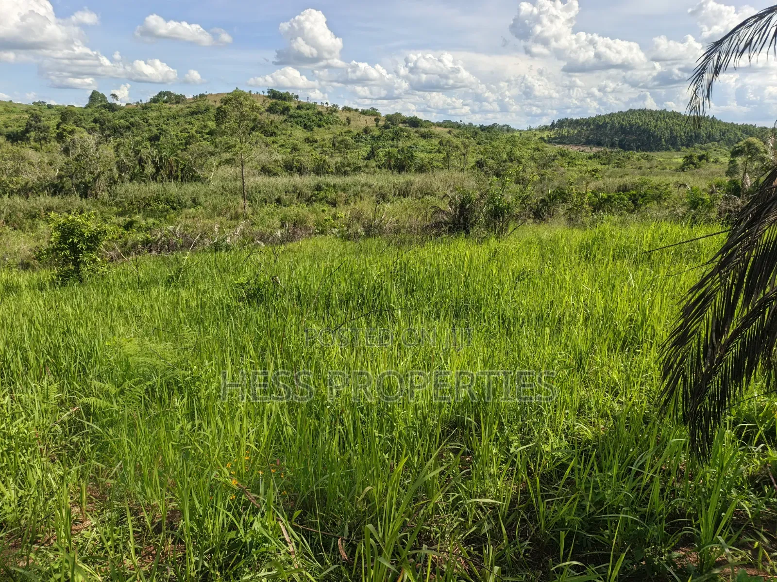 12acres of Land on Sale Located in Kyamulimi