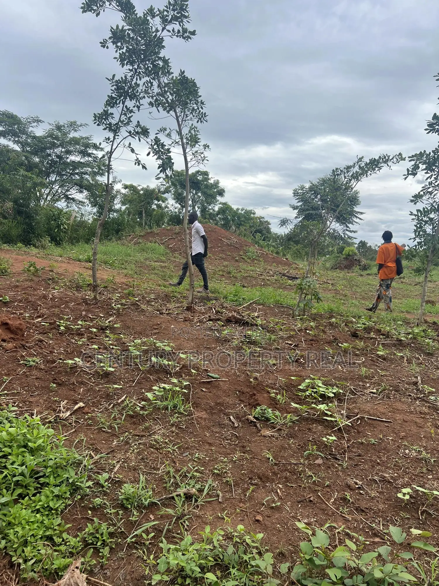 Land in Kasawo