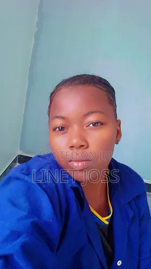 Linets Cv for Application