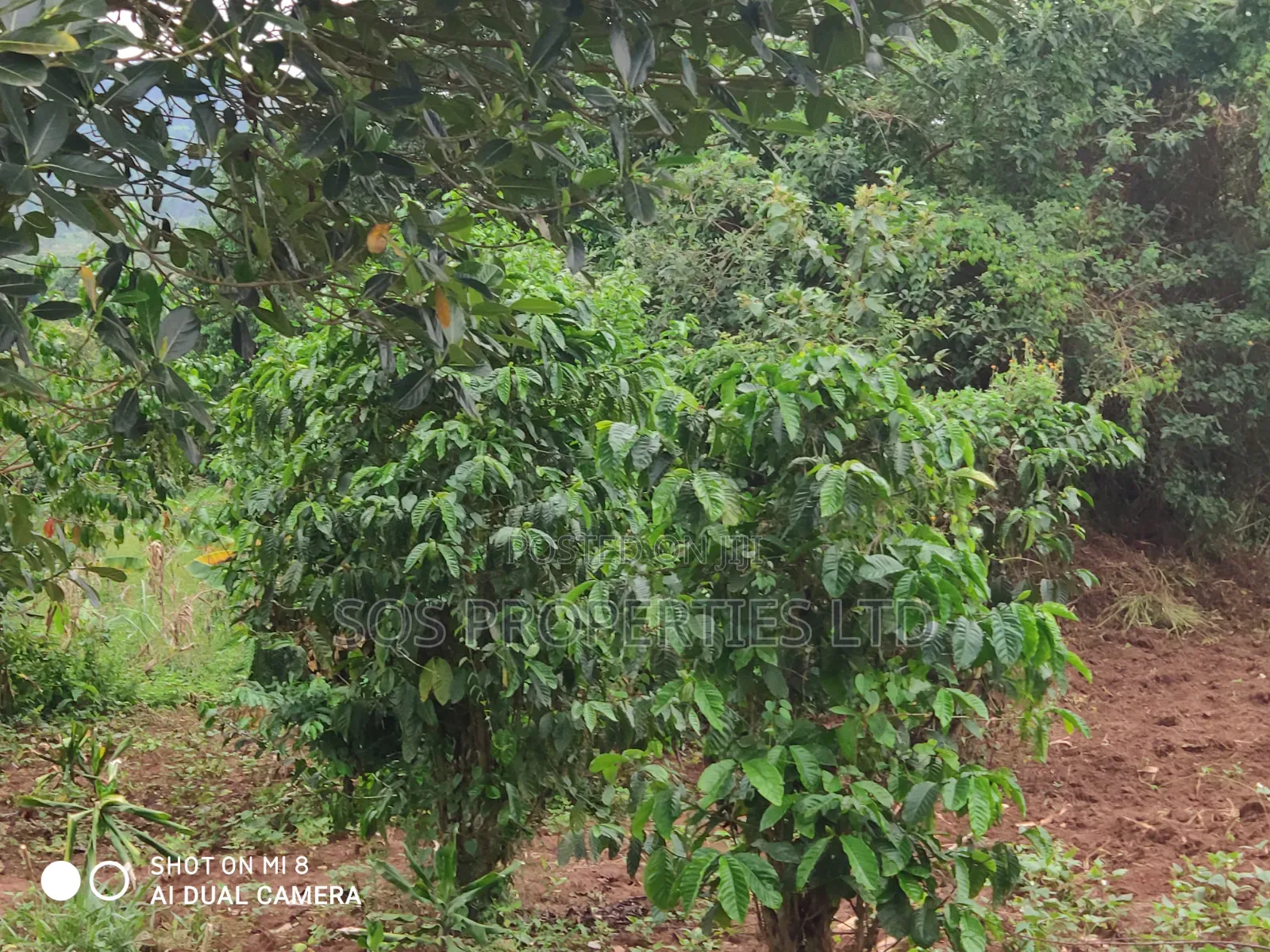 Land for Sale 5 Acres , Negotiable 20 Millions Per Acre