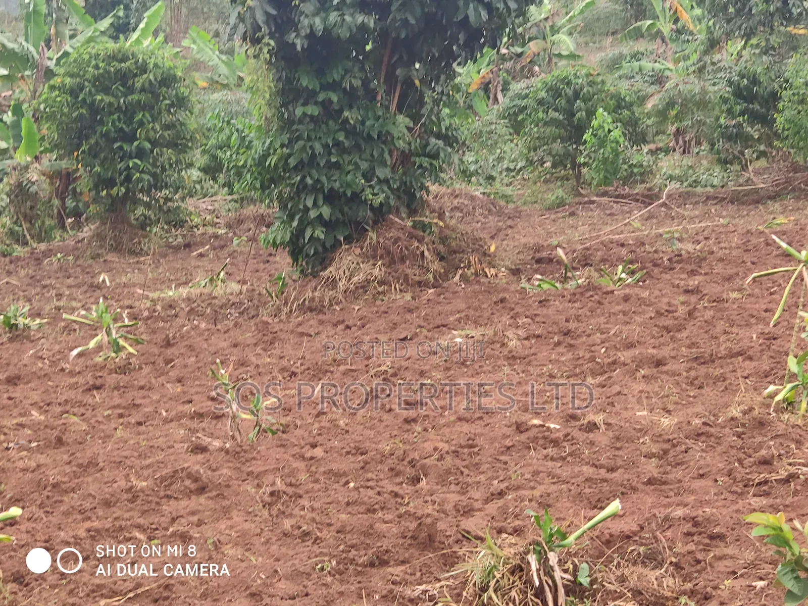 Land for Sale 5 Acres , Negotiable 20 Millions Per Acre
