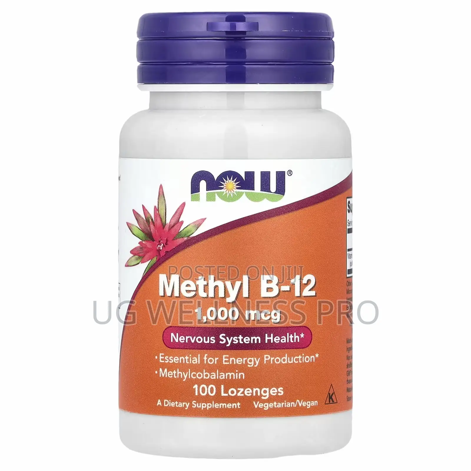 Now Foods Methyl B12 B-12, 1,000 McG, 100 Lozenges