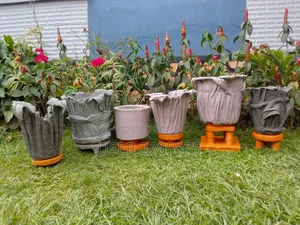 Salmon's Events And Backyard Ideas