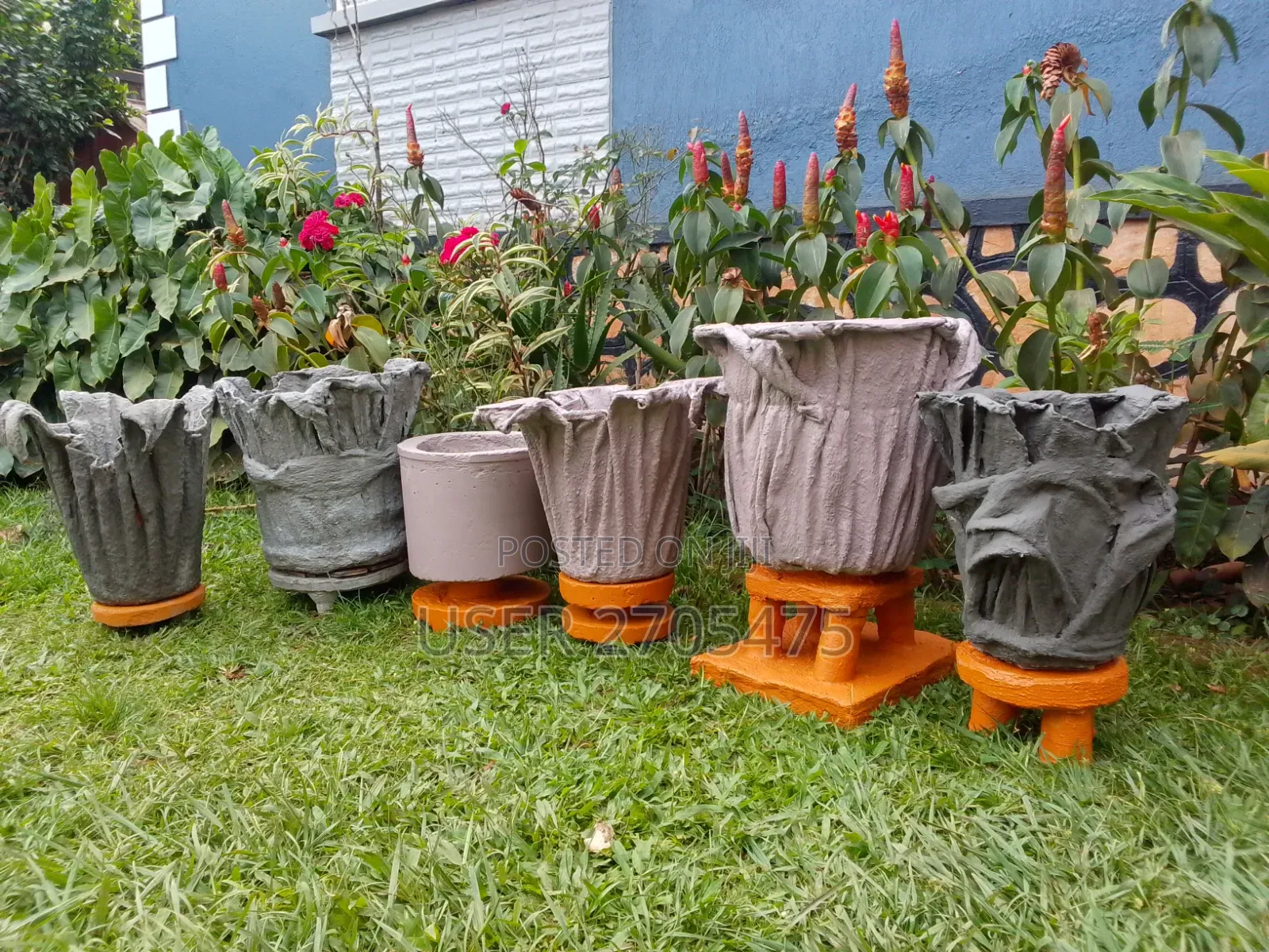 Salmon's Events And Backyard Ideas