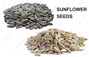 Sunflower Seeds Half