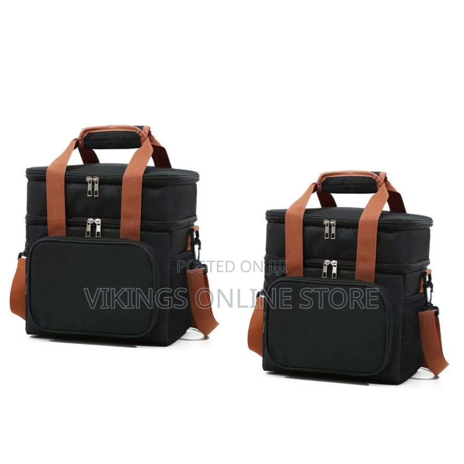 Brivilas Dual-Compartment Insulated Lunch Bag / Cooler Bag -Multicolor