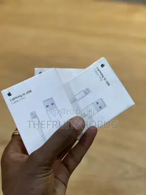 Apple Usb to Lightning